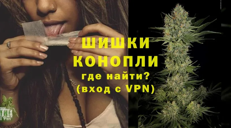 Каннабис OG Kush  Сосновка 